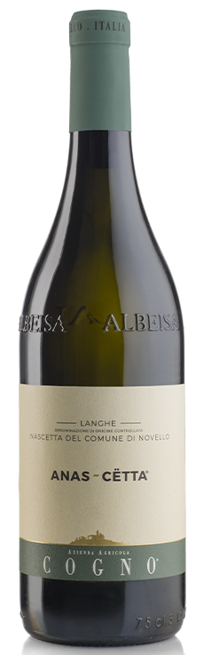 Langhe Nascetta "Anas-Cëtta" 2025 - Elvio Cogno