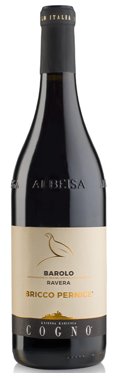 Barolo "Ravera Bricco Pernice" 2019 - Elvio Cogno