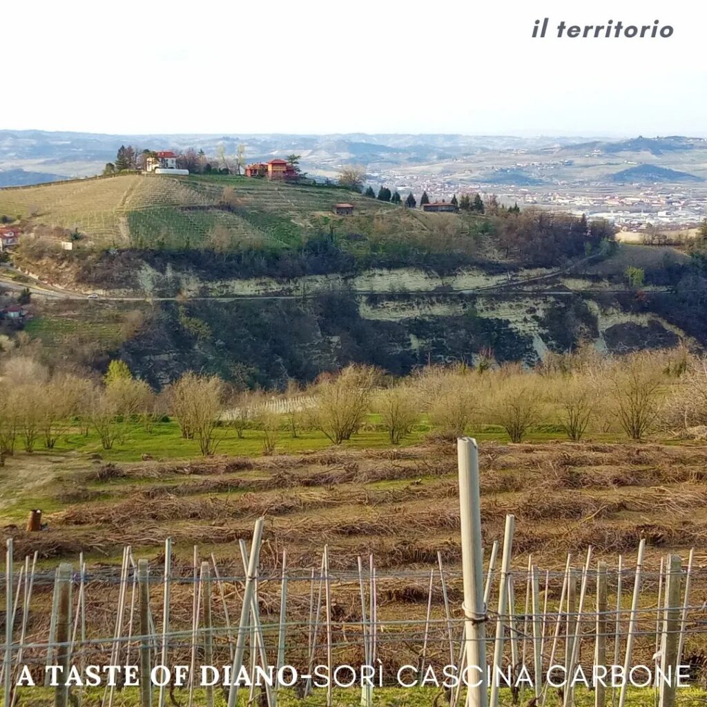 Cascina Carbone