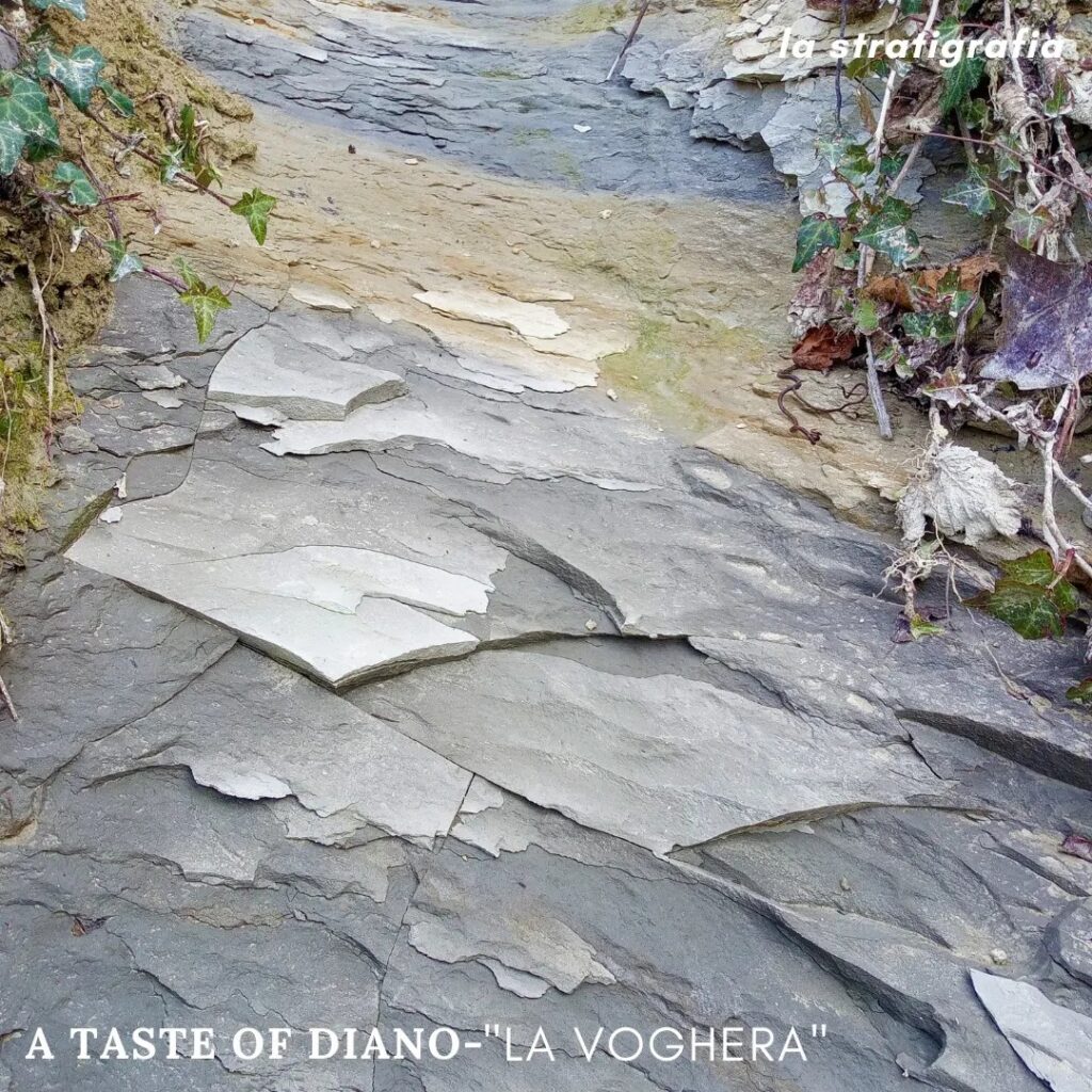 Diano soils La Voghera