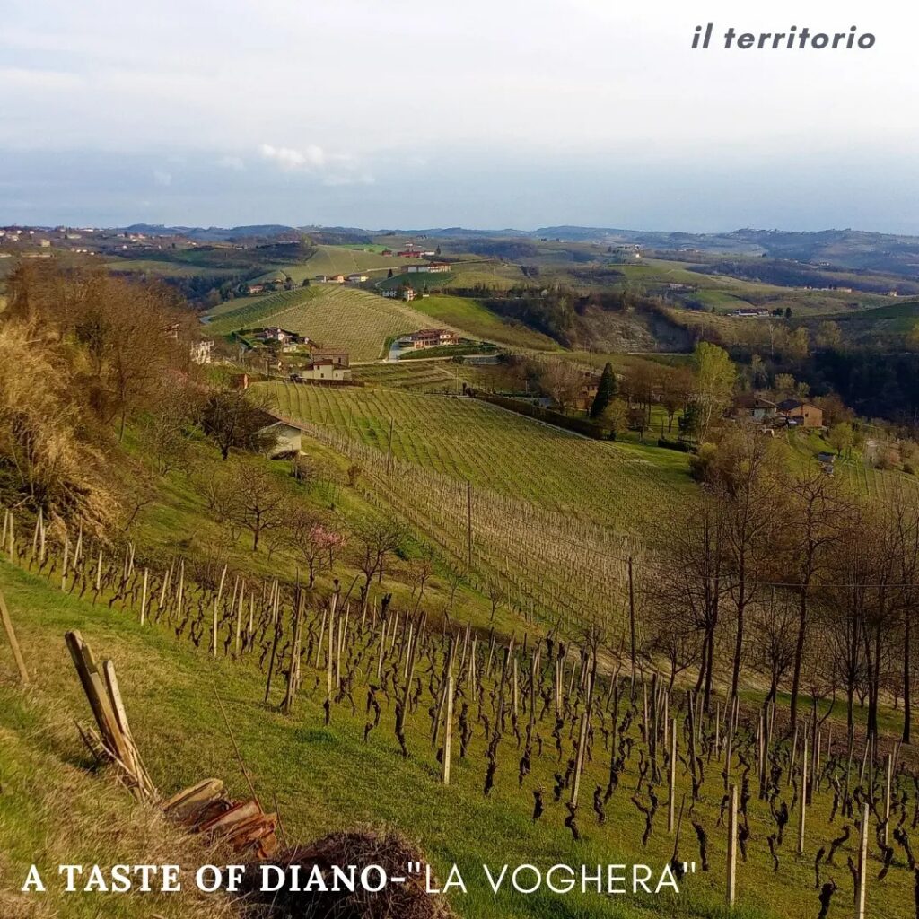 La Voghera