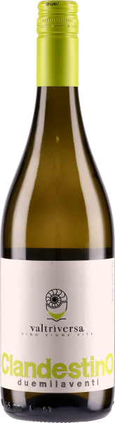 Valtriversa - Vino Bianco Clandestino