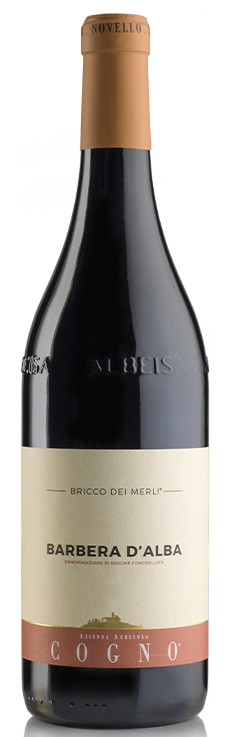 Barbera d'Alba "Bricco dei Merli" 2023 - Elvio Cogno