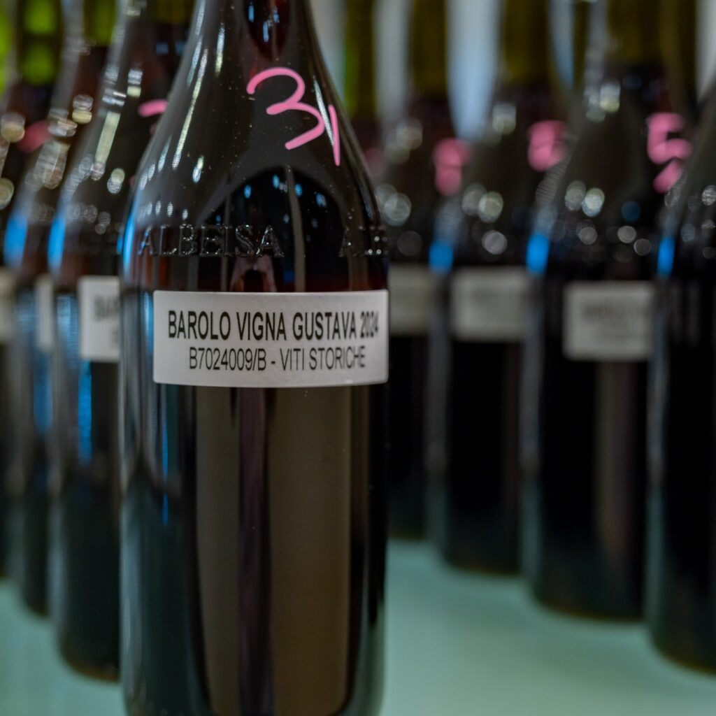 Barolo Primeur 2024