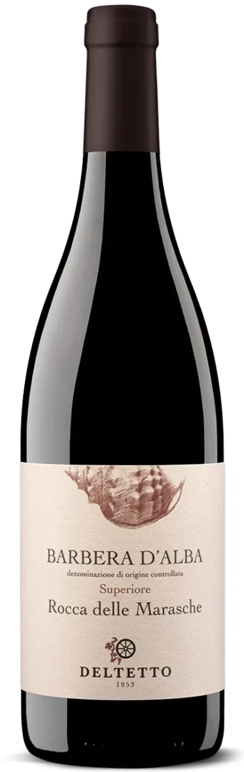 Barbera d'Alba Superiore "Rocca delle Marasche" 2023 - Deltetto
