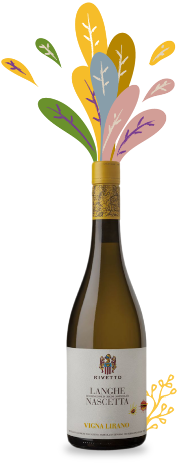 Langhe Nascetta Vigna Lirano 2022 – Enrico Rivetto