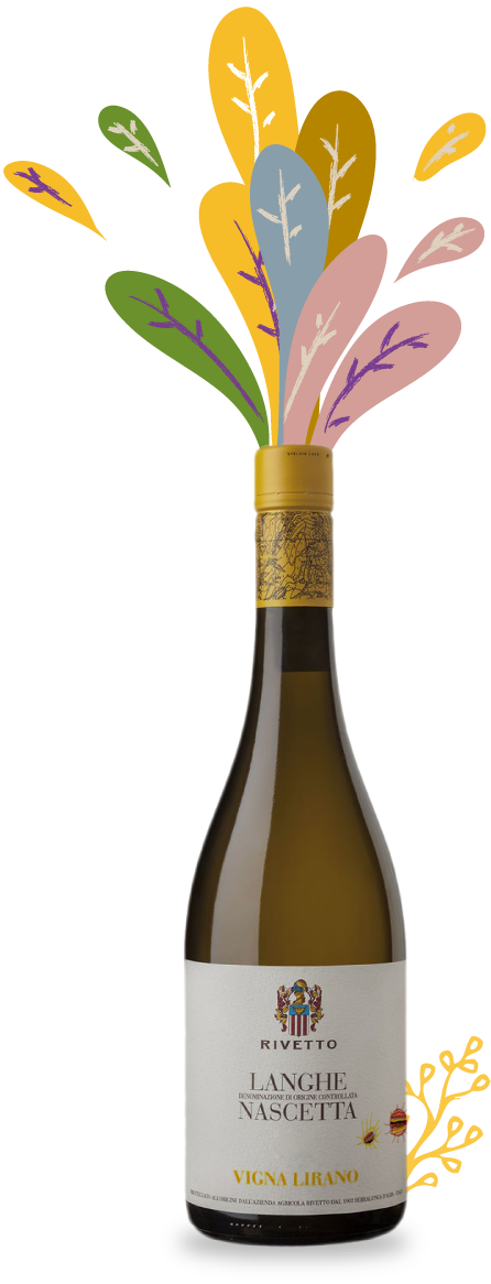 Langhe Nascetta Vigna Lirano 2022 – Enrico Rivetto